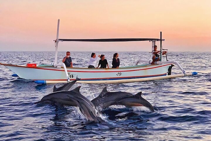 BALI DOLPHIN 4D3N PRIVATE TOURS
